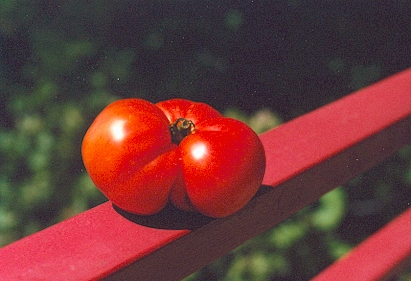 Den här gör det lättare att komma till nästa sida.